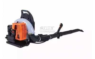 ��ؓ(f��)ʽ��ѩ�C(j��)